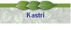 Kastri